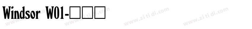 Windsor W01字体转换
